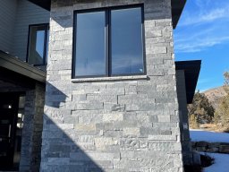 Black Squares and Rectangles